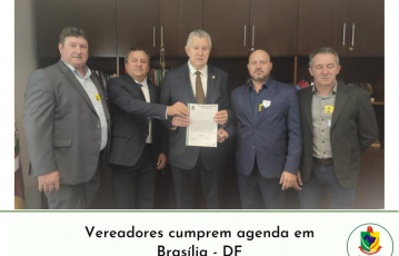 Vereadores cumprem agenda em Brasília-DF